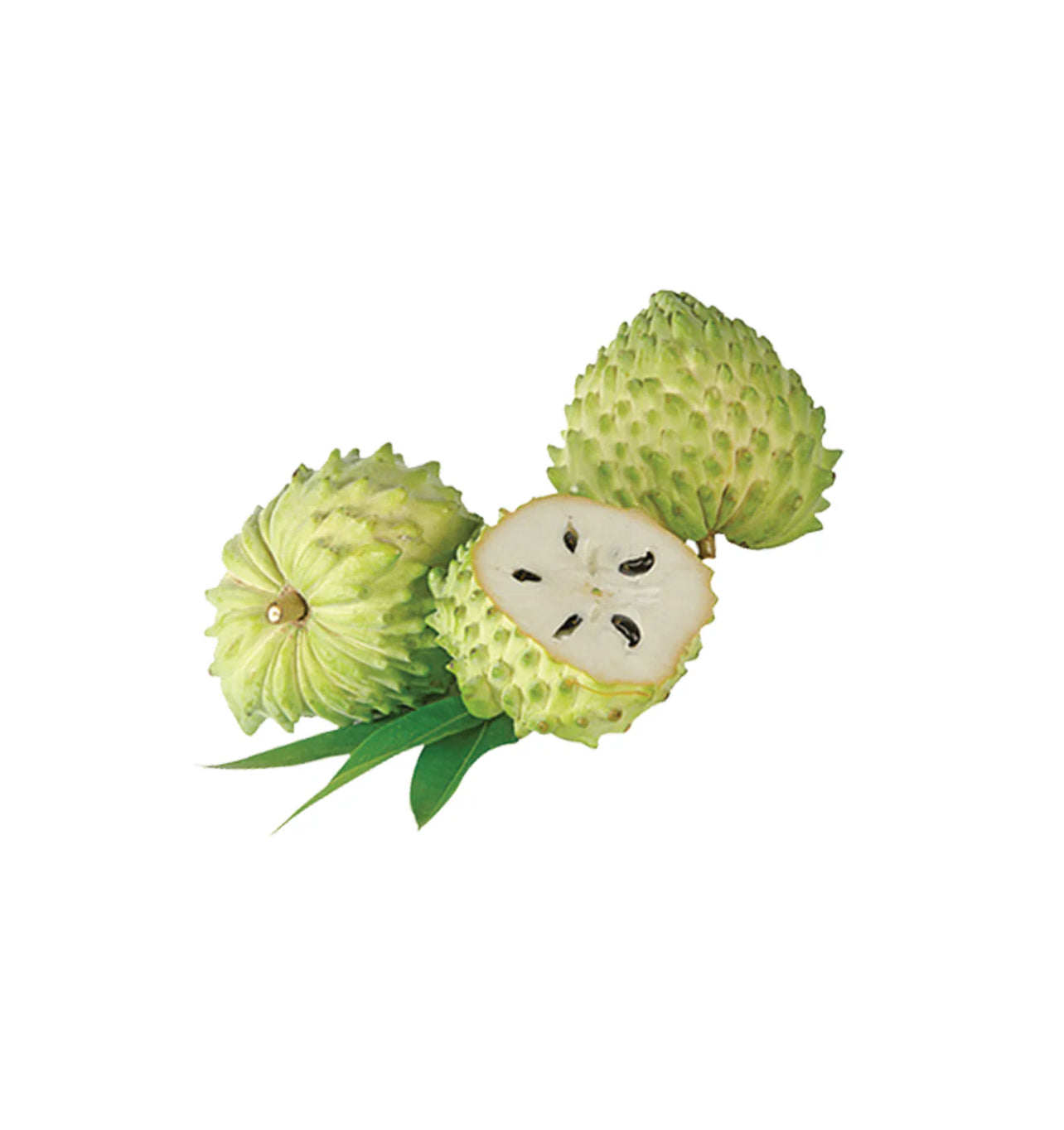 Pure Soursop Oil