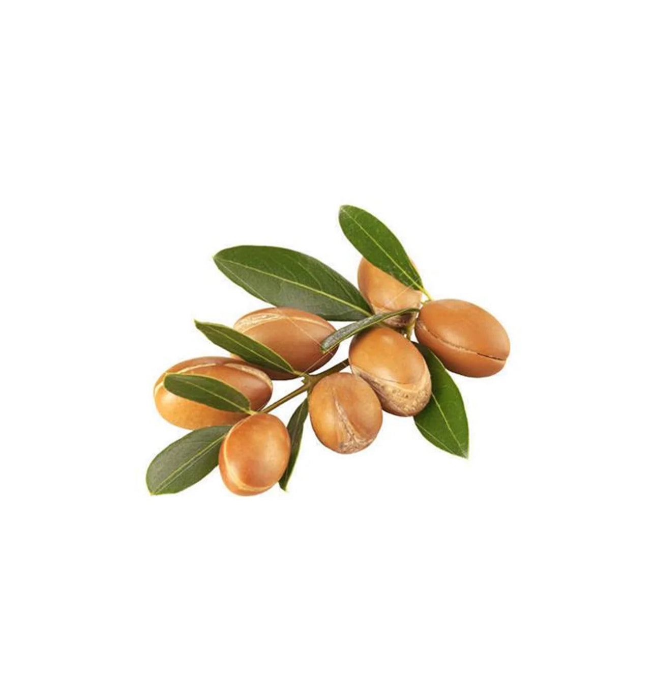 Pure Argan Oil